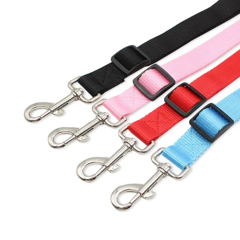 Thumbnail 3 - #61 Dog Leads Ranking List in 2026