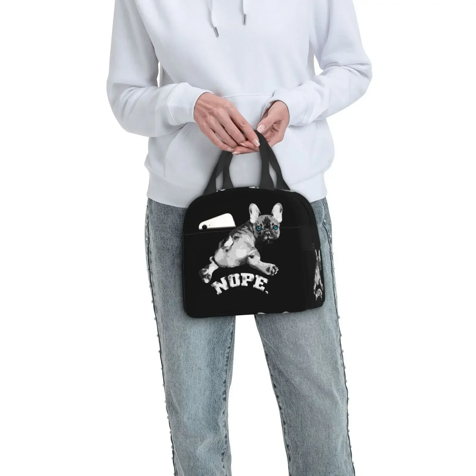 Funny French Bulldog Print Lunch Bags Insulated Bento Box Lunch Tote Leakproof Picnic Bags Thermal Bag For Woman Girl School