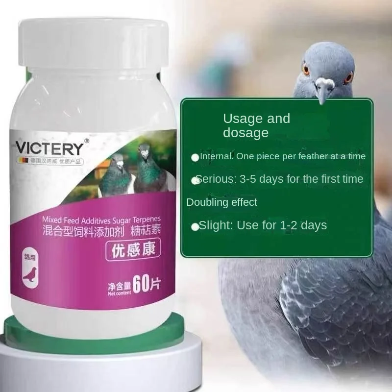 Pigeon Chlamydia Chronic Respiratory Fever Bird Parrot Pigeon Medicine 60 Tablets