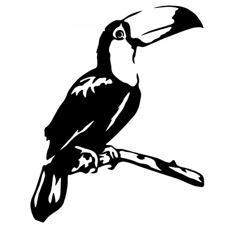 Toucan on The Tree Branch Car Model Beautifully Decorated with Decals Pvc Motorcycle Car Decal Sticker, Black/white, 16cm * 12cm