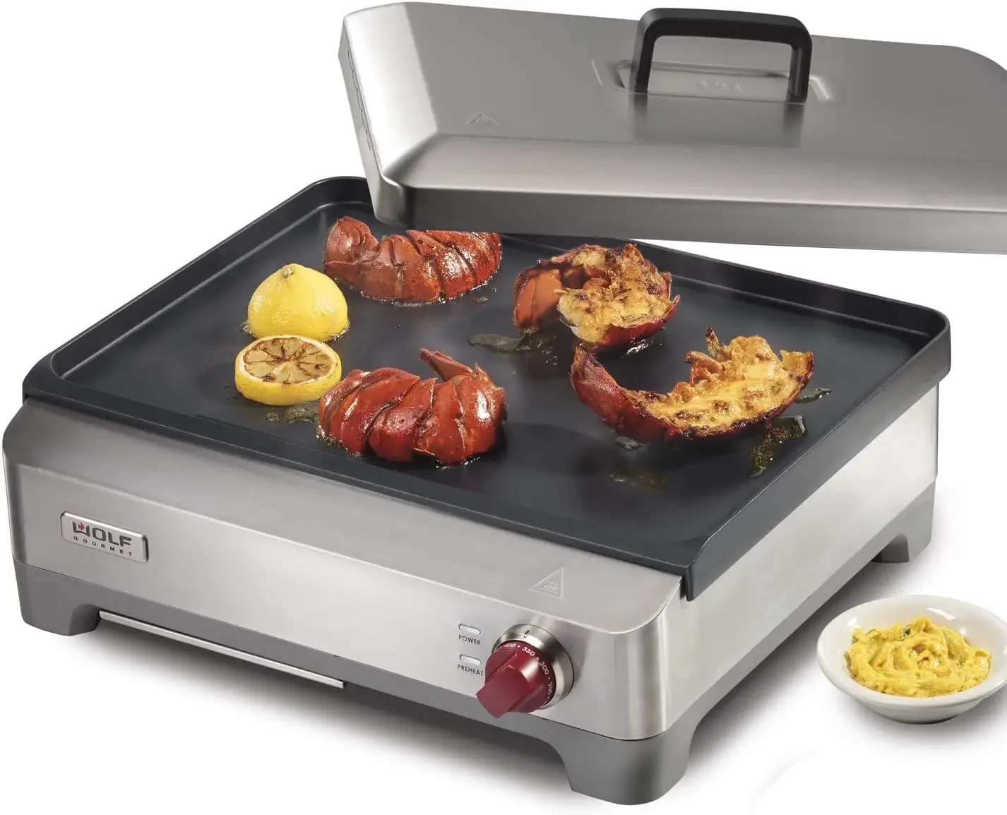 Gourmet Precision Electric Griddle, Indoor Grill, 200 sq. in, Nonstick Coating, Advanced Temperature Control, Stainless Steel, R