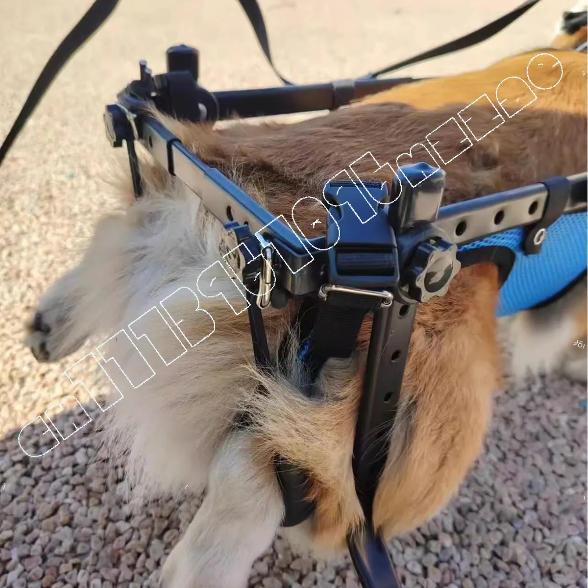 Dog Wheelchair Hind Limb Paralysis Pet Scooter Disabled Dog Hind Leg Assist Cat Teddy Large Small Dog Bracket