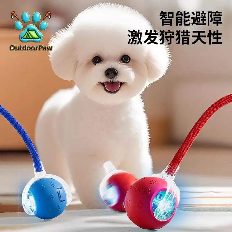 Japanese dog toy automatic walking ball pet self-hi teasing artifact than bear small and medium-sized bite-resistant chug ball