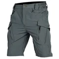 Gray Short Pant X9