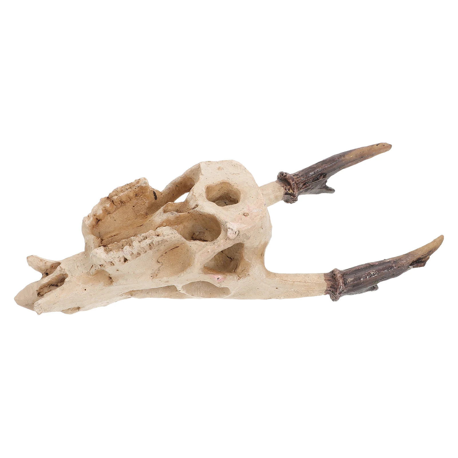 

Realistic Hideout Resin Snake Habitat Cave Fish Ornament Frog Terrarium Accessories Muntiacus Skull Decor Bearded Dragon Turtle
