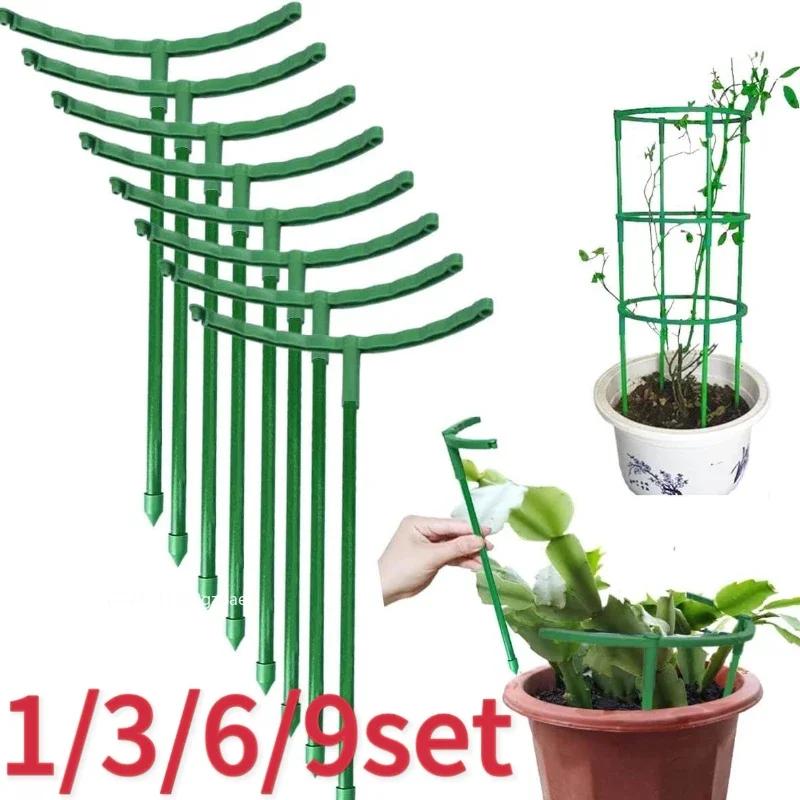 

Plant Support Pile Garden Semicircle Flower Stand Cage Plant Grow Fixing Rod Vine Climbing Bracket Stake Holder Bonsai Tool Moss