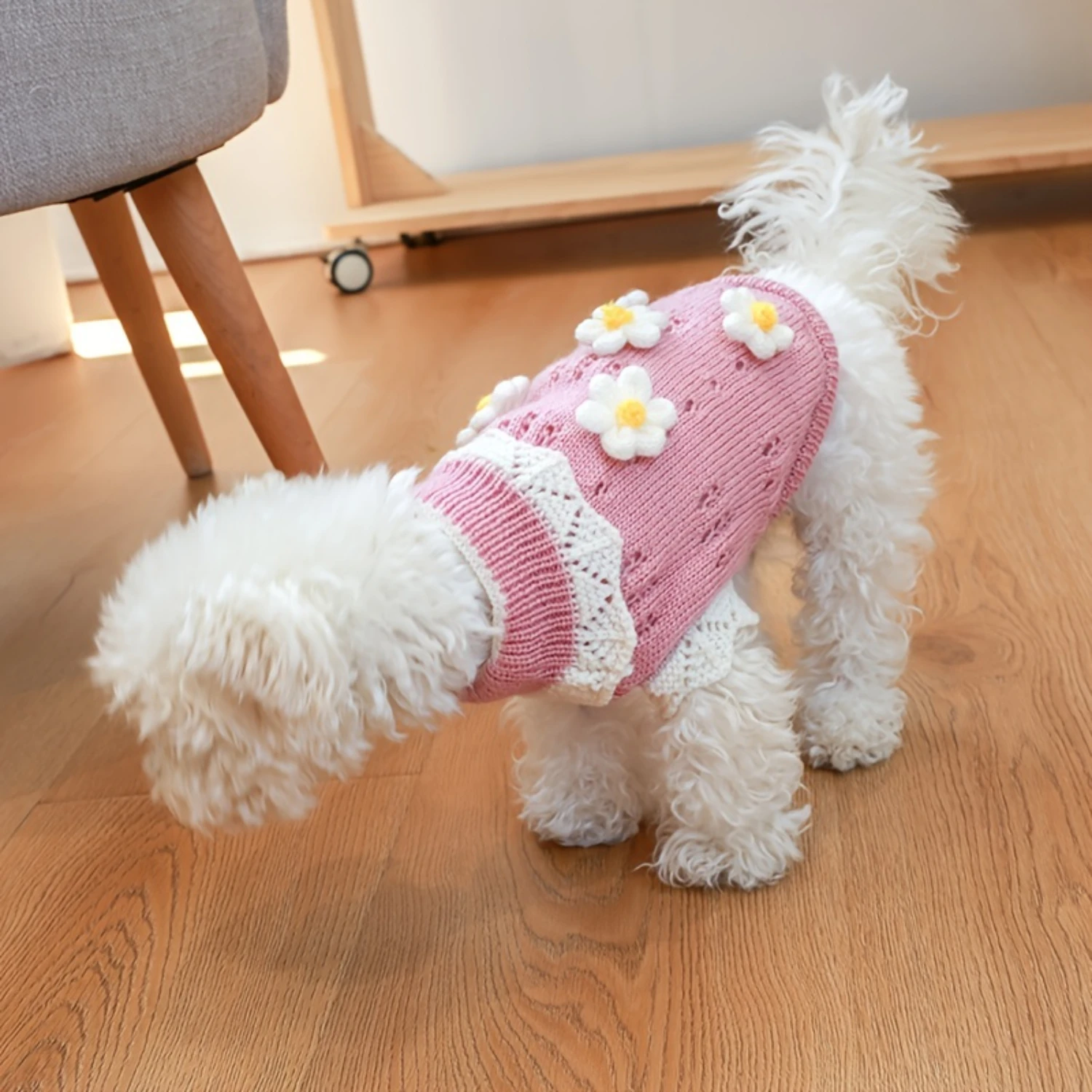 Cherry Knitwear Hoodie for Small and Medium Dogs - Keep Your Pet Warm and Stylish