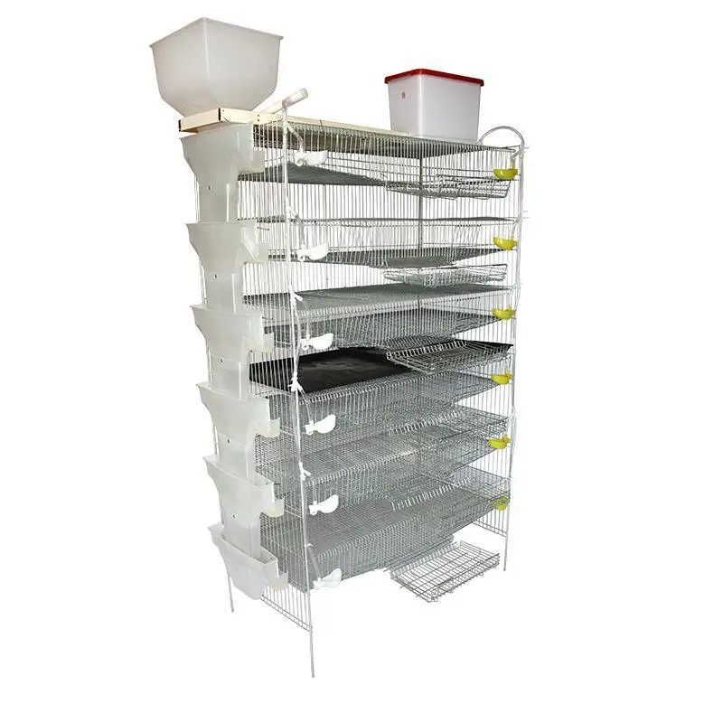 Design Modern 3 Layer 4 Layer Automatic Galvanized Battery Quail with Quail Cage with Automatic Drinking System