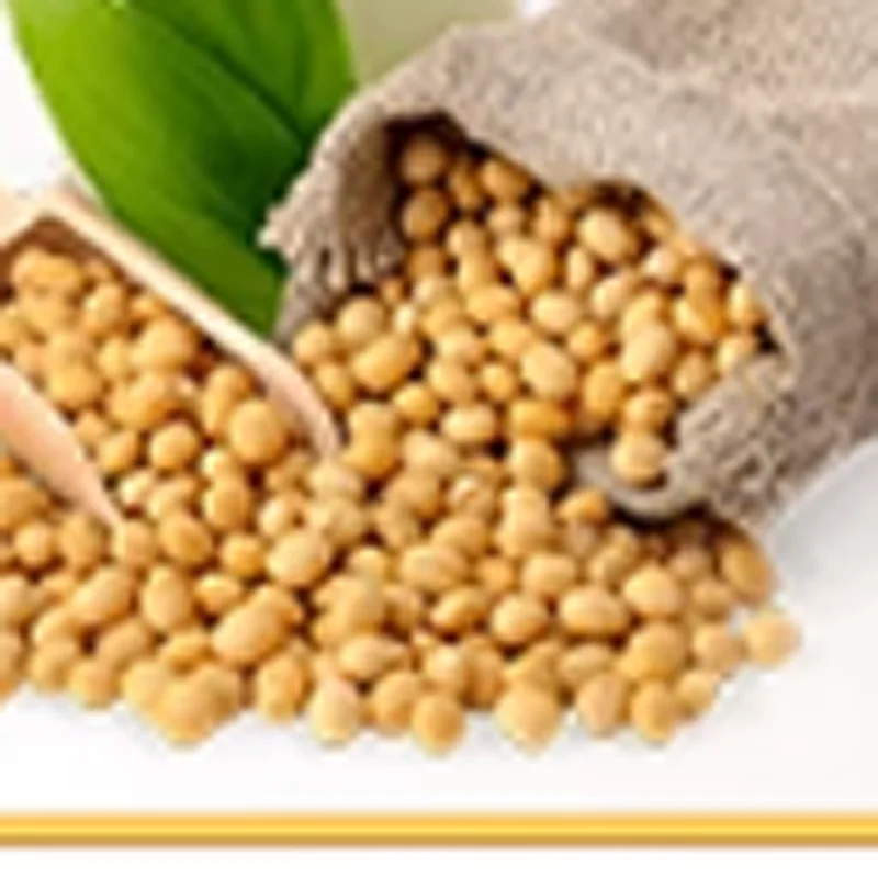 Electric Soymilk Ma… - image