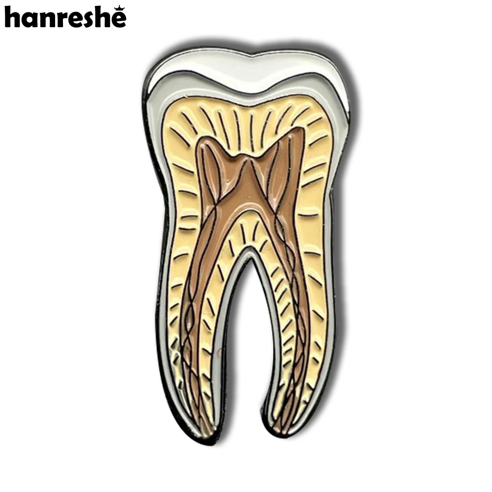 Hanreshe Dental Medical Brooch Pins Anatomy Biology Tooth Dentist Jewelry Accessories Lapel Badges for Doctors Nurses Gifts