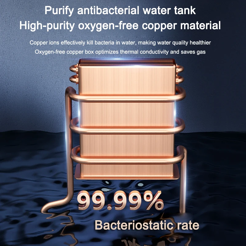 Aquecedor de água do gás líquido do agregado familiar, temperatura constante, gás natural, gás liquefeito, exaustão forte, zero água fria equilibrada, 12 L