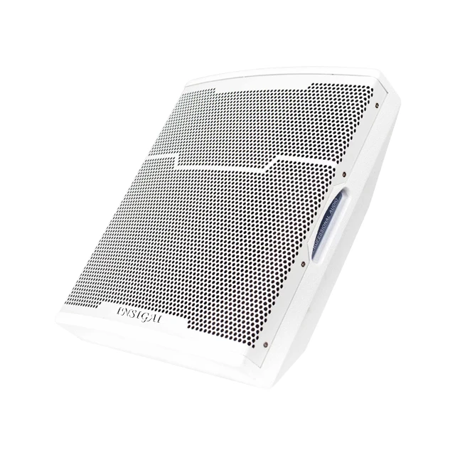 

Пассивные НЧ-динамики DGP8-8 дюймов для конференц-залов, профессиональное аудиооборудование