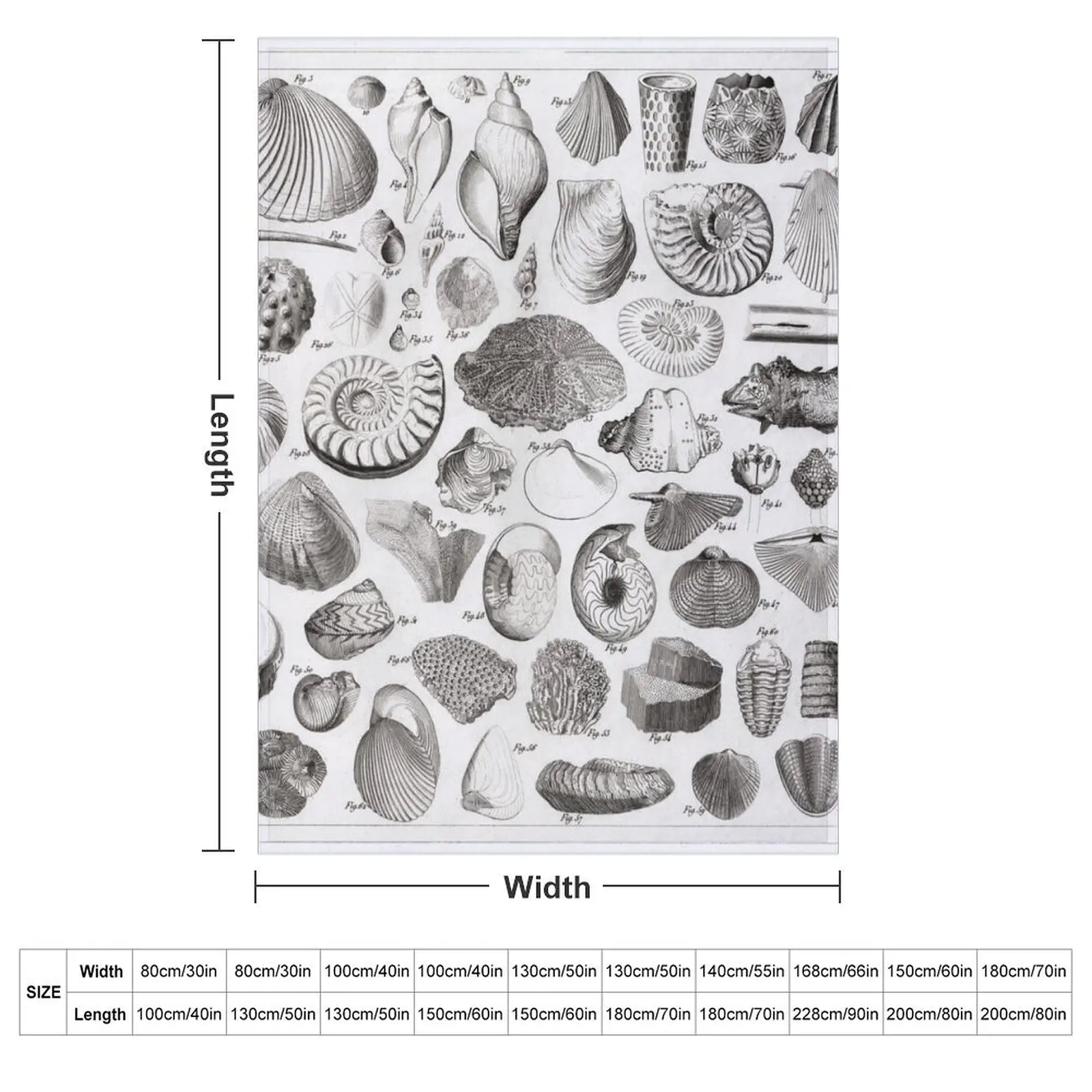 1857 Diagram Paleontology: Fossils Throw Blanket Weighted Loose Luxury Brand Soft Beds Blankets