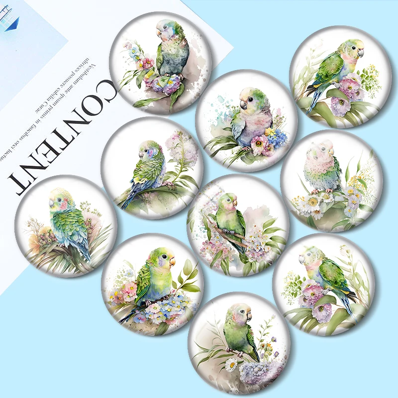 

Cartoon parakeet 10pcs 12mm/16mm/18mm/25mm Round Photo Glass Cabochon Demo Flat Back Making findings