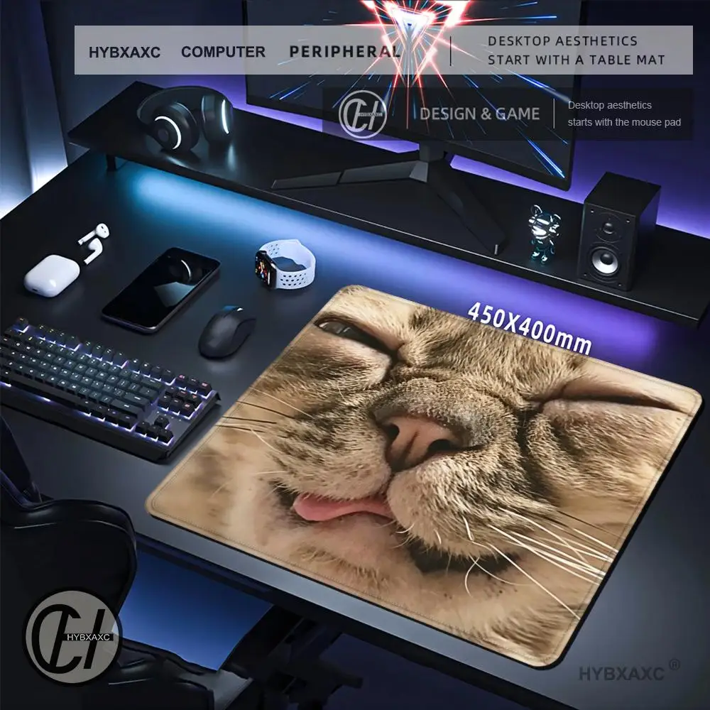 HYBXAXC Funny Cat Face Mouse Pad, Cute Kitty Close-up Mat, Non-Slip Rubber Base for Office,Cute Animal Desk Decor for Cat Lovers