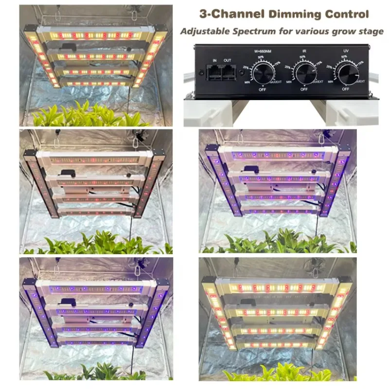 Newest 2025 Balance… - image