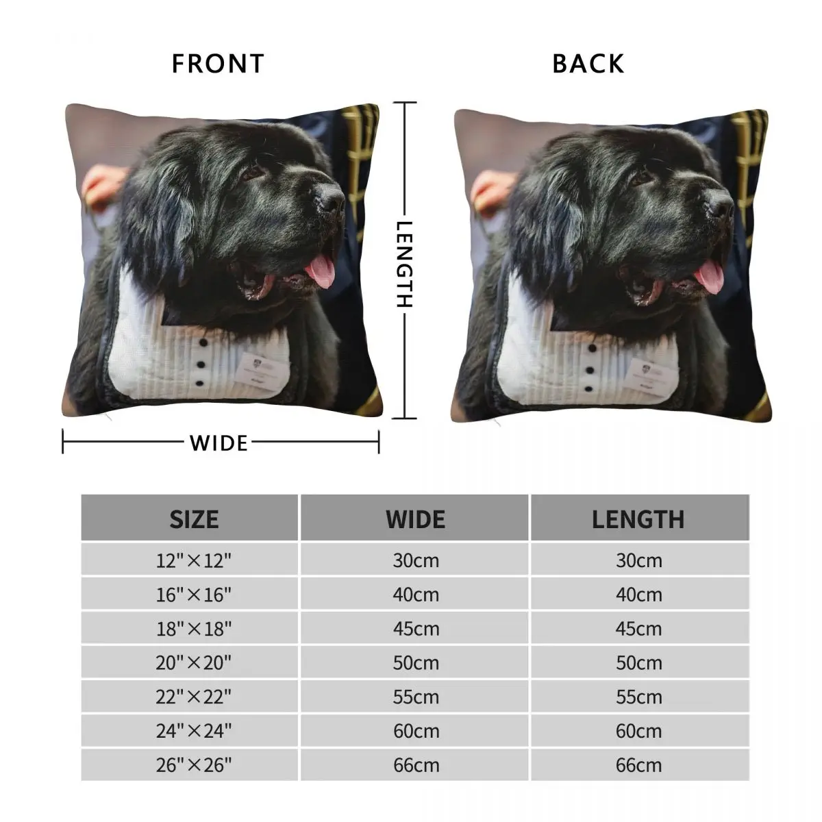 Mulligan Newfoundland And Labrador Square Pillowcase Polyester Linen Velvet Creative Zip Decorative Home Cushion Case 45x45