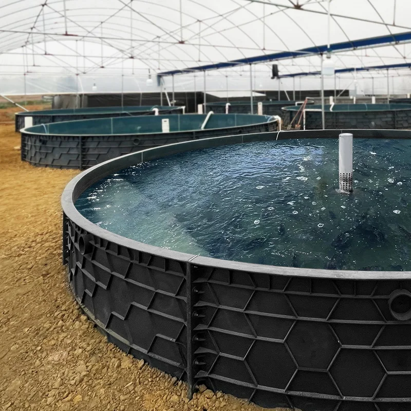 Outdoor Seawater Farming PP Fish Tank Recirculating Aquaculture Shrimp Pond for Sale RAS Equipment Star Fish YT-PP01 39.5m