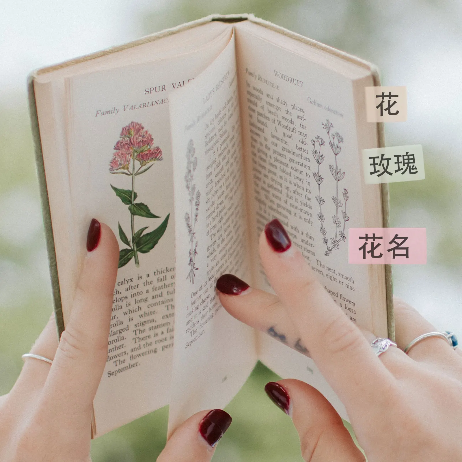 

960pcs Multipurpose Colored Index Stickers Classification Tabs for Books Magazines Files Mixed Style