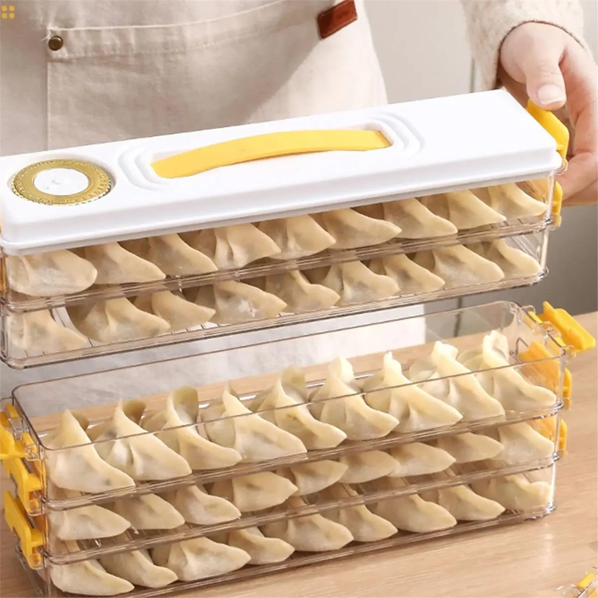 Dumpling Storage Container Food Grade Plastic Refrigerator Dumpling Storage Box for Home