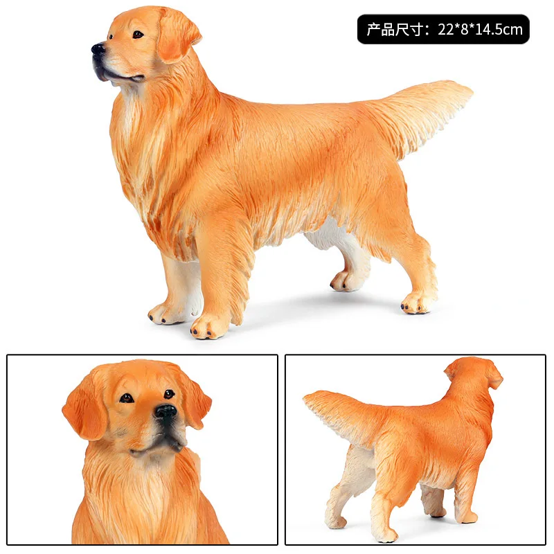 22*8*14.5CM solid simulation animal dog model big golden retriever pet dog child boy gift toy decoration