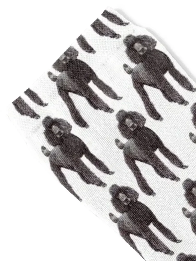Standard poodle Socks football basketball Rugby anti slip football Socks Men's Women's