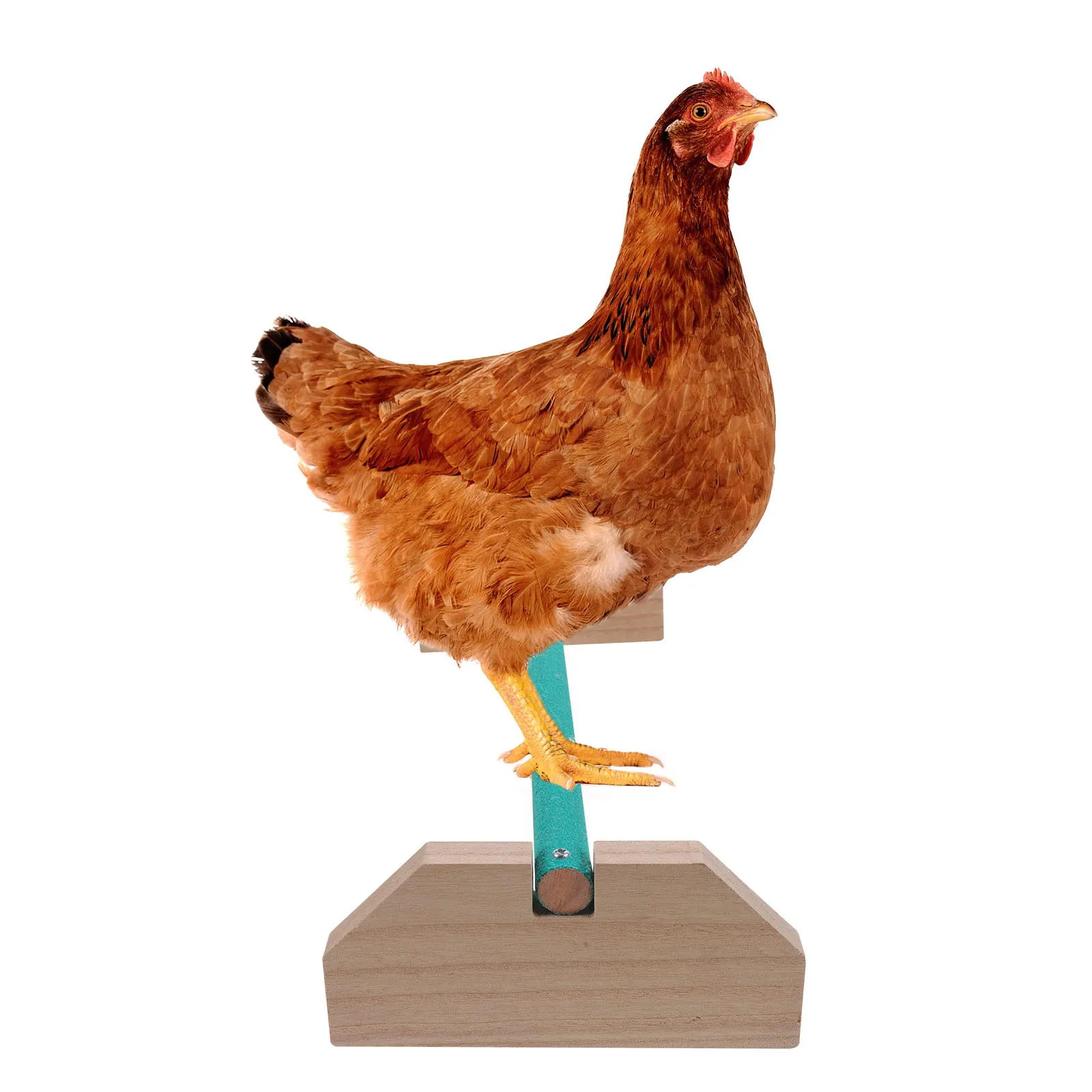 

Wooden Chicken Perch Natural Bird Stand Pet Toy Indoor Chick Hens Roosting Swing HomeDecoration WoodenStand