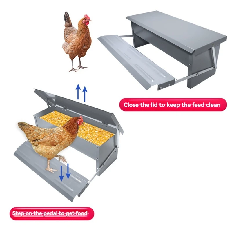 5KG Capacity Automatic Chicken Feeders Treadle Weatherproof Lid Rat Proof Poultry Feeder For Chickens, Ducks, Turkeys