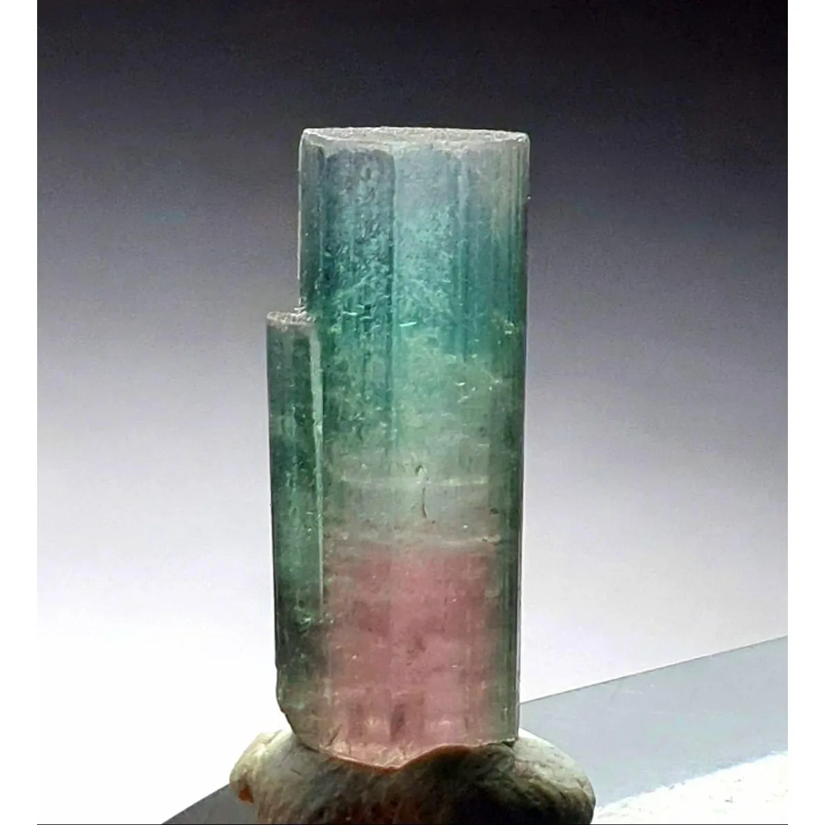 Brazilian Elbaite Crystal Points, 10g 5-15mm Colorful Raw Crystals, Display Box for Living Room Decor & Stone Collection