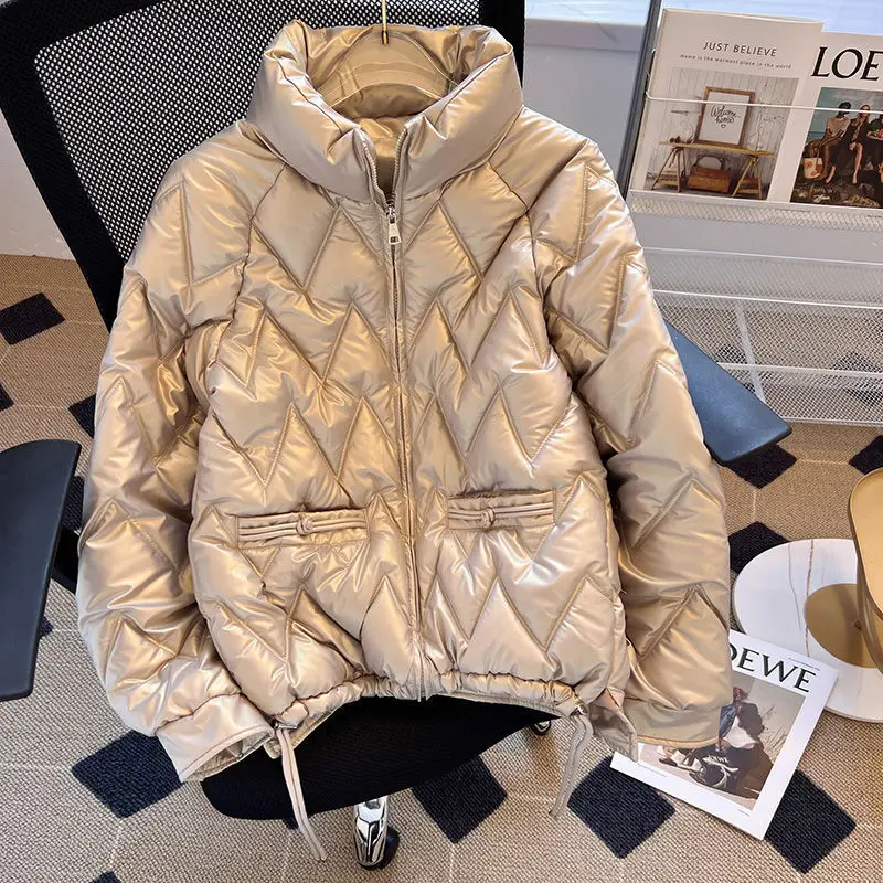 2024 Autumn/Winter New Women\'s Standing Neck Down Cotton Coat Retro Straight Jacket