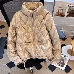 2024 Autumn/Winter New Women's Standing Neck Down Cotton Coat Retro Straight Jacket