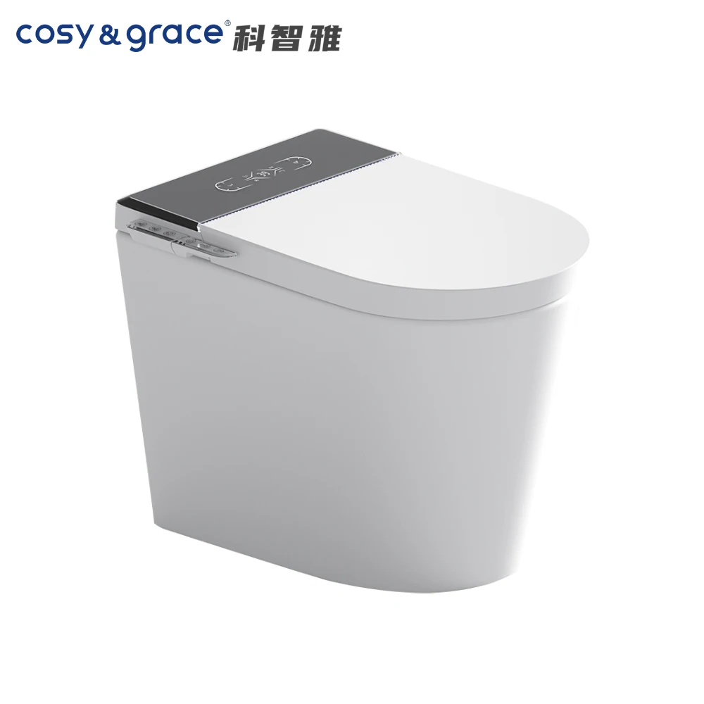 

Modern Intelligent Ceramic Smart Toilet Bidet Floor Mounted Motion Sensor WC Inodoro Sanitary Ware Seat Heating Remote Automatic