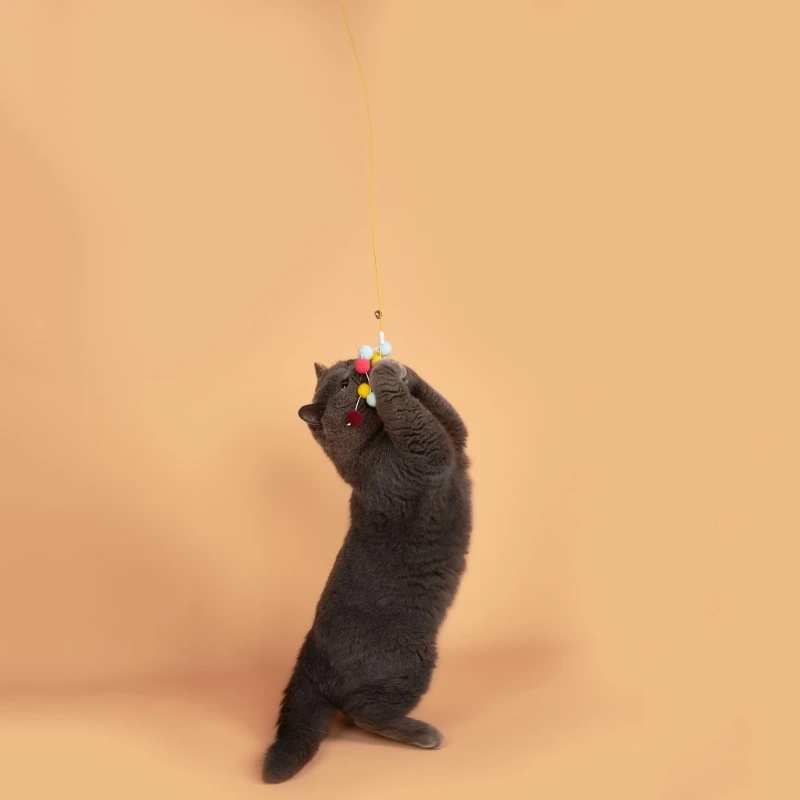 Đồ chơi cho mèo Pompoms Đồ chơi cửa tự kích thích cho mèo Đồ chơi mùa xuân dài