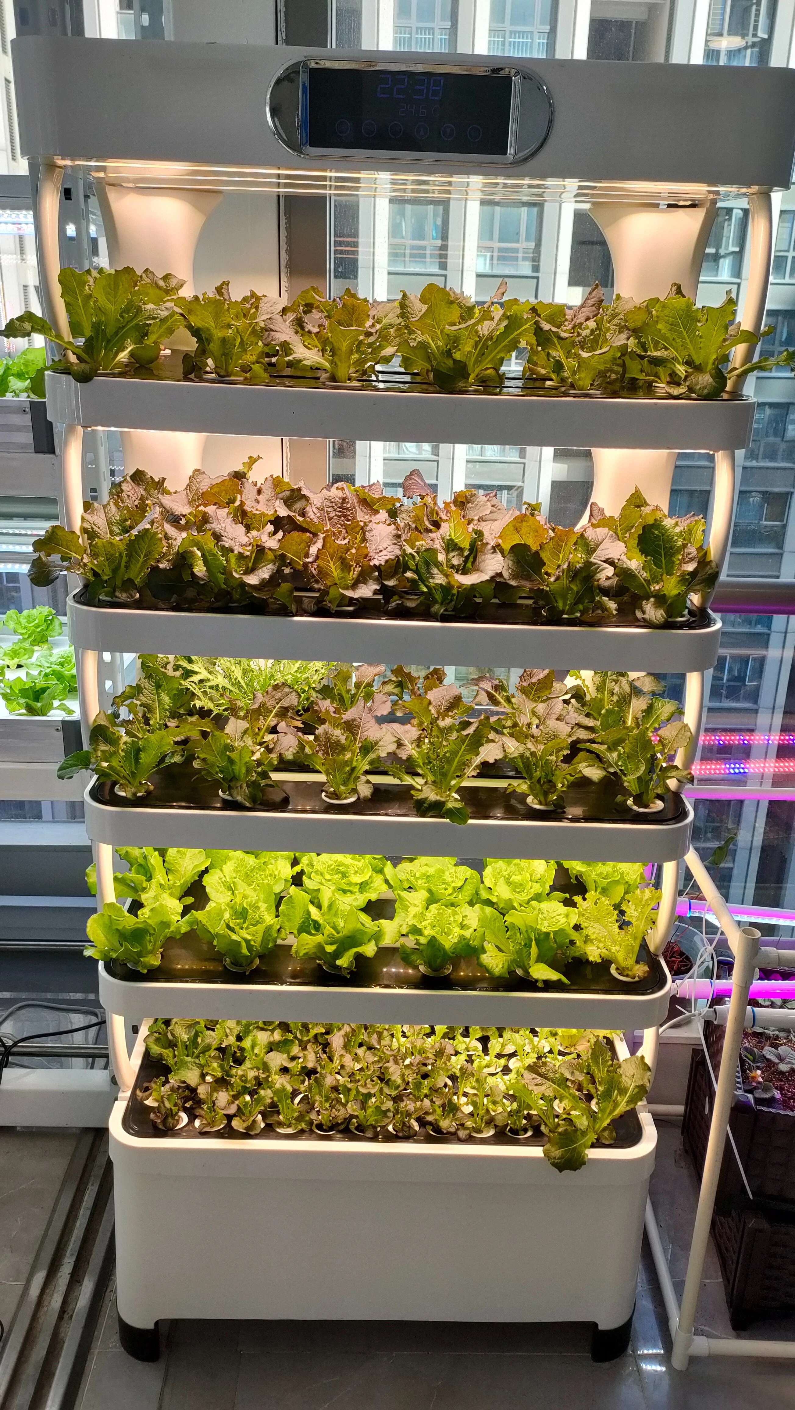 Intelligent Hydroponisch Kweek - Smart Home Uses recensie en prijs