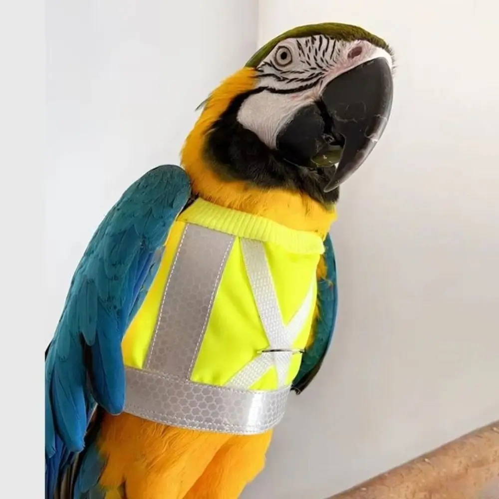 

Adjustable Parrot Flying Harness Safety Comfortable Reflective Leashes Sun Protection Bird Flight Suit Flying Training