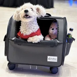 43x28x35cm Pull Rod Case Breathable Roller Blind Cat Basket Convenient Folding Transport Bag Silent Pulley Pet Carry