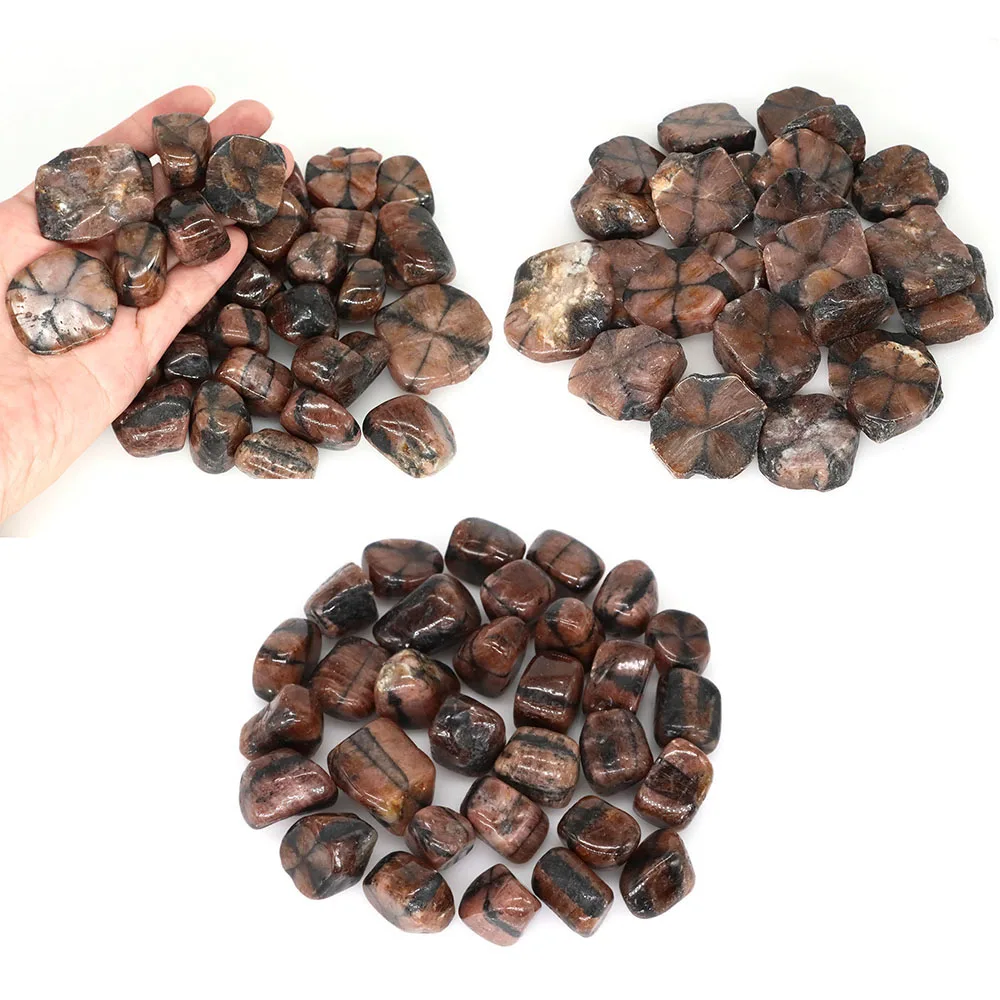 Natural Cross Chiastolite Tumbled Stones Quartz Crystals Healing Bulk Mineral Specimen Gemstones Home Tank Aquarium Decoration