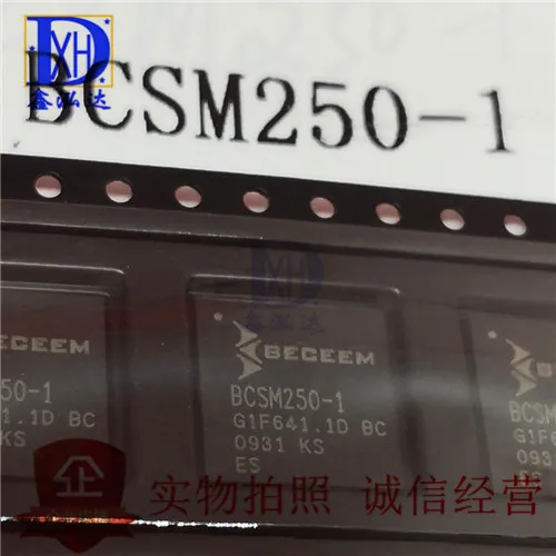 BCSM250-1 New+Original  Stock　Direct purchase　 10 uds