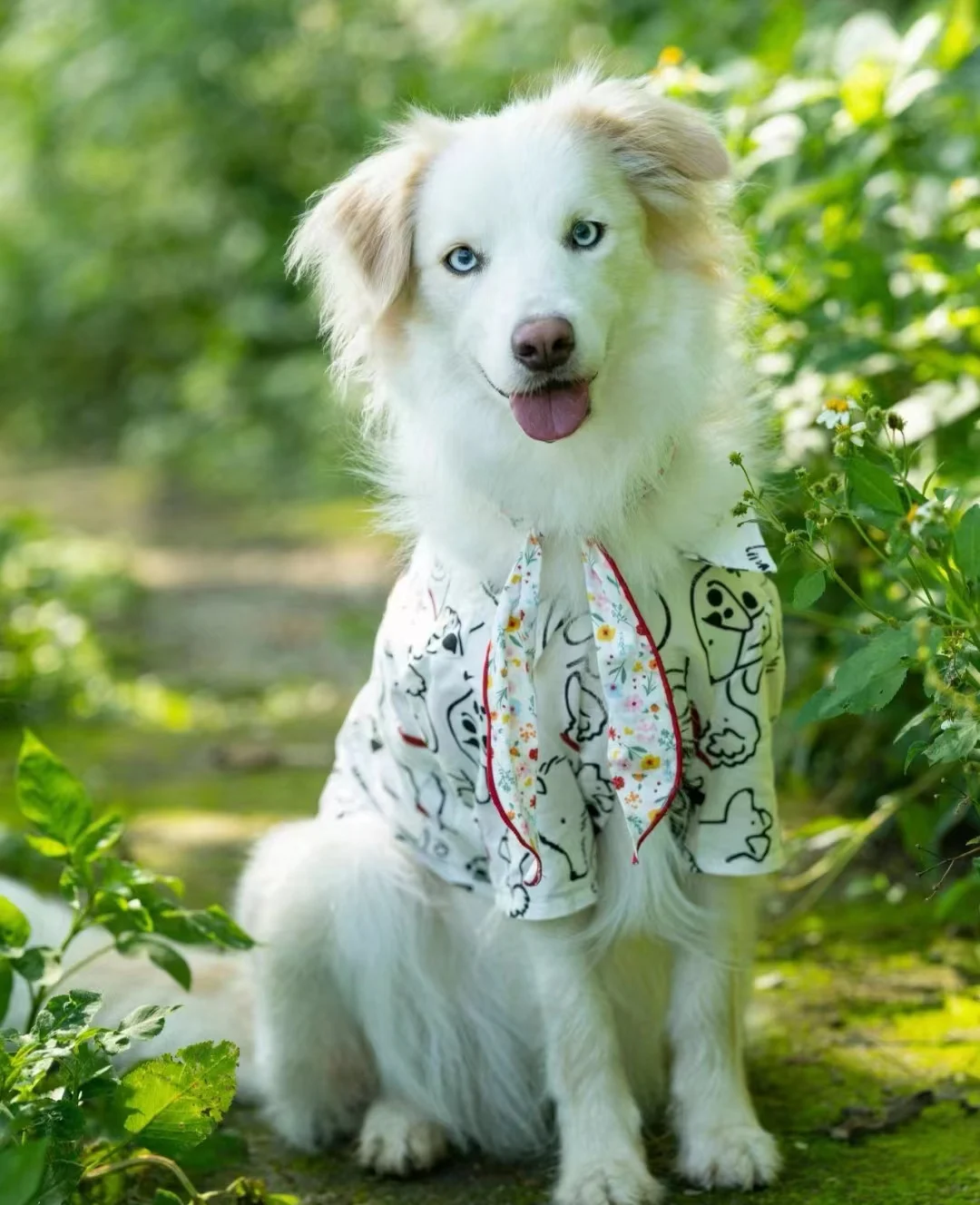 Spring Summer Cotton Lightweight Dog Shirt | Trendy Anti-dirt Anti-shedding Sun Protection Apparel for Large Dogs Border Collie