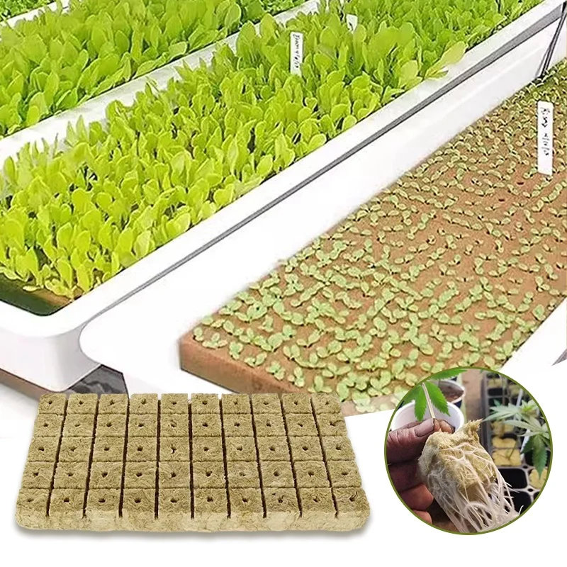 50/100pcs Sponge Starter Rock Wool Starter Plugs Hydroponic Growth System Media Cubes Soilless Cultivation Seedling Block Access