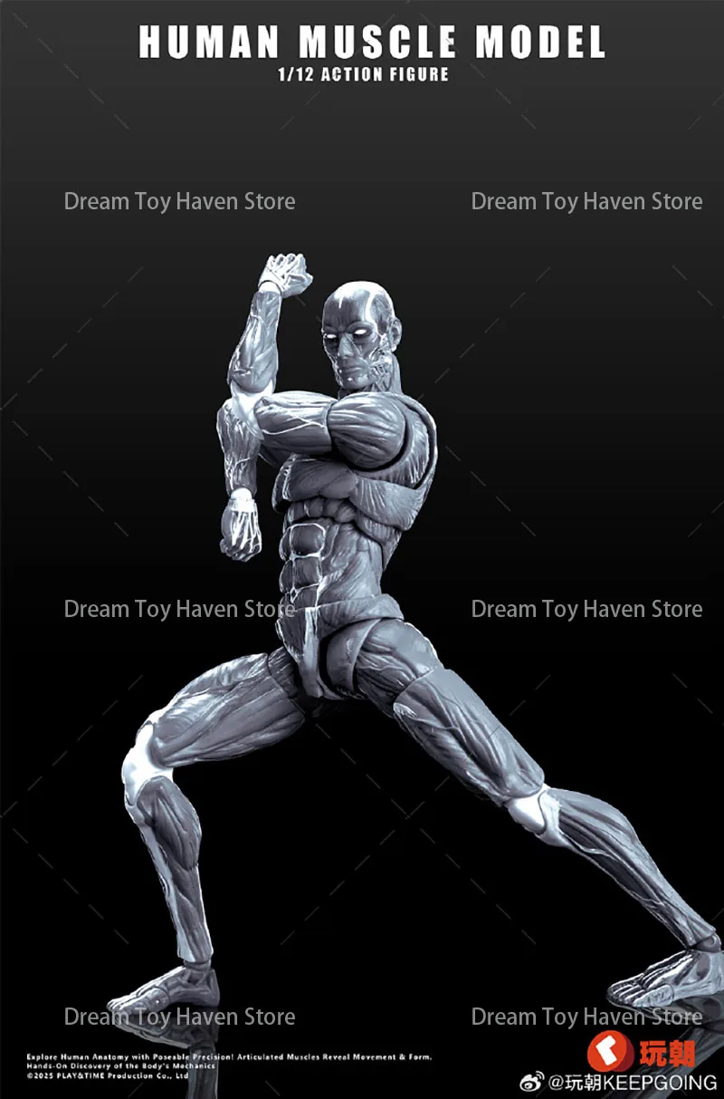 Keepgoing 1/12 مقياس جندي ذكر نموذج العضلات البشرية 6 بوصة دمى شخصيات الحركة سوبر المنقولة المشتركة مجموعة العضلات الجسم اللعب #6