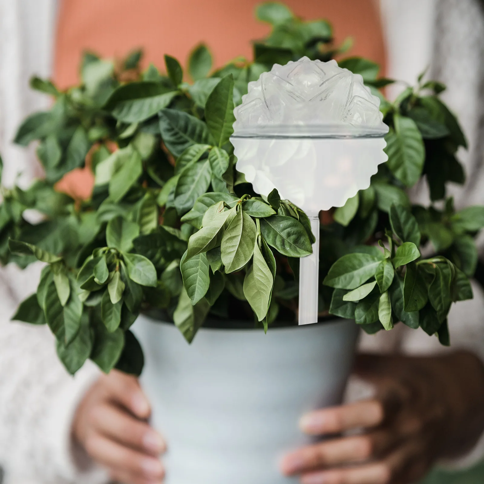 

Automatic Watering Device Glass Self-Watering Bulb For Plant Garden Irrigation Tool Drip Sprinkler Flower Pot Water Saver