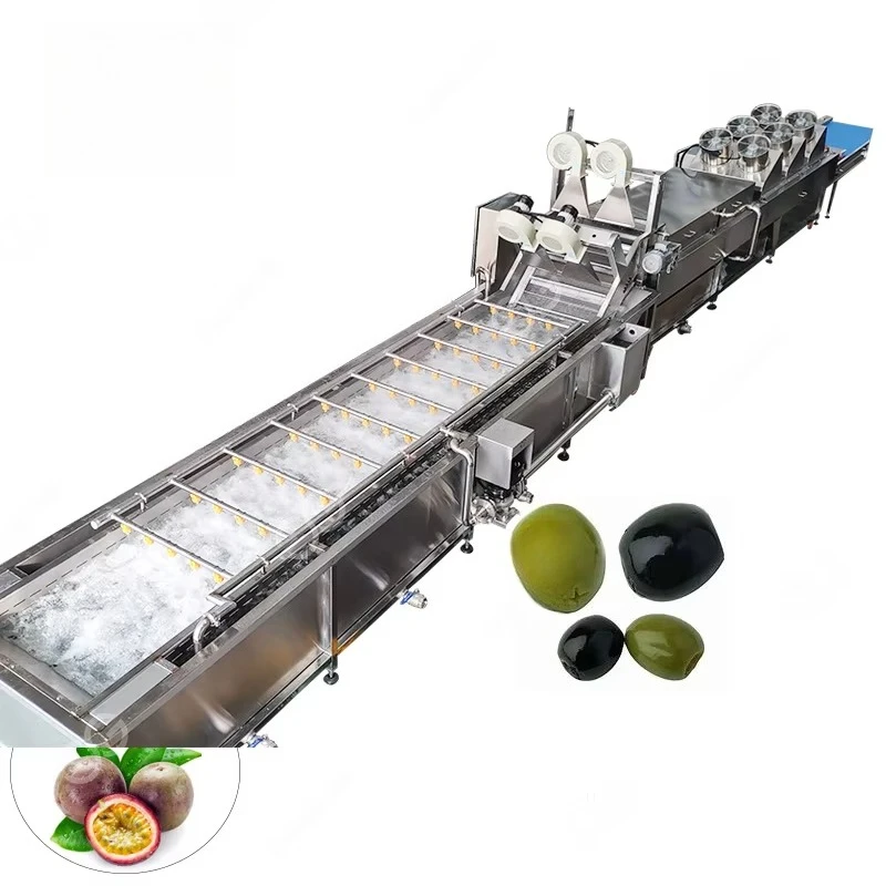 Processus de lavage de fruits et légumes vanille feuilles vertes Machine à laver industrielle Chou