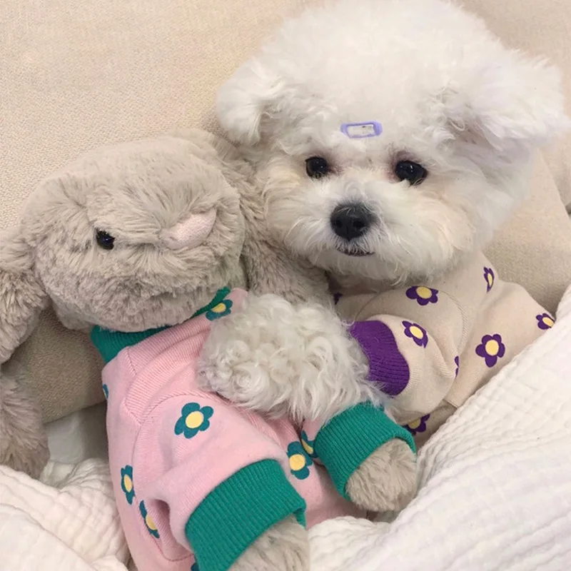 Dog Floret Four-legged Clothes Cat Clothes Four-legged Clothes Pet Teddy Bichon Dog Pomeranian Small Medium Dog Autumn Winter