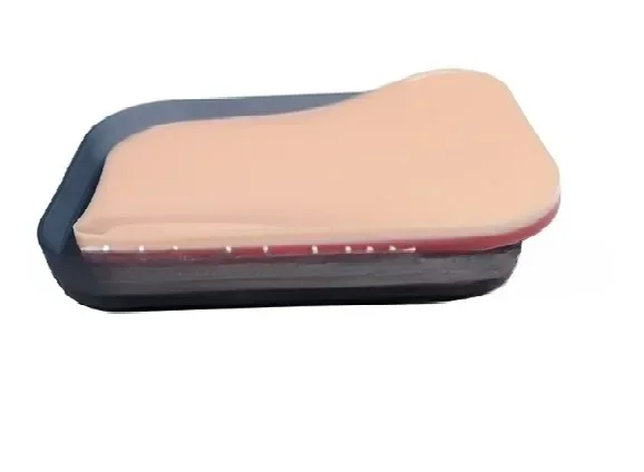 Wholesale Silicone 3 Layers Human  Pad Medical Science Teaching Model Simulator