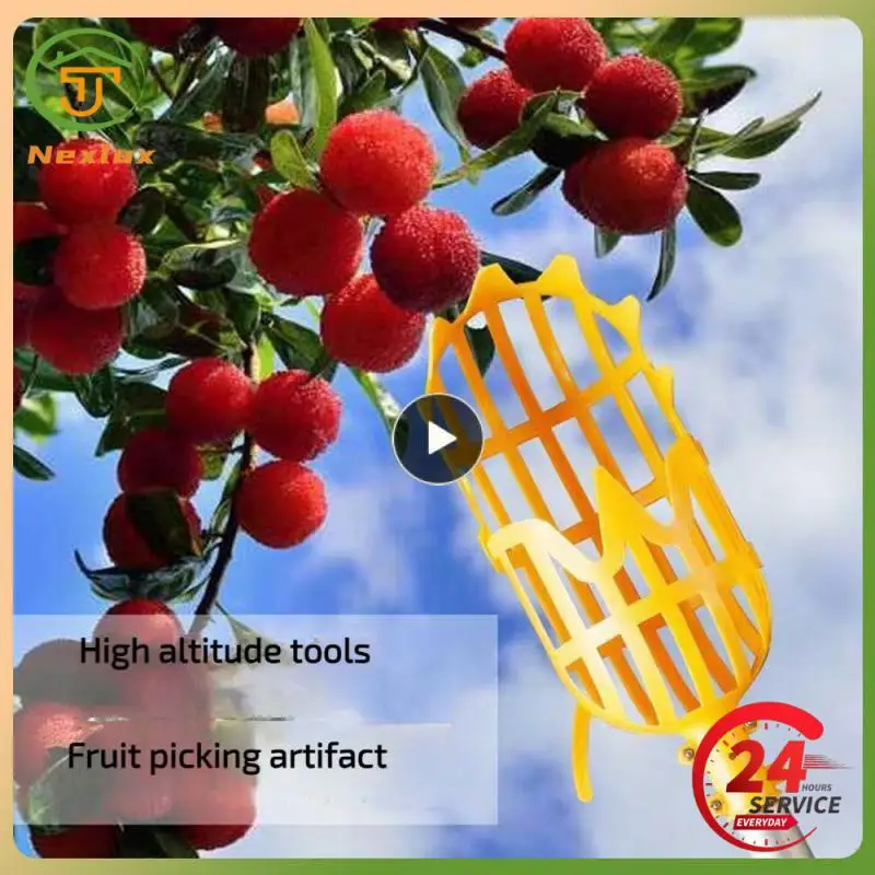 High-altitude Fruit Picker Head Picking Bayberry Loquat Tool Convenient Picker Catcher Garden Picking Supplies