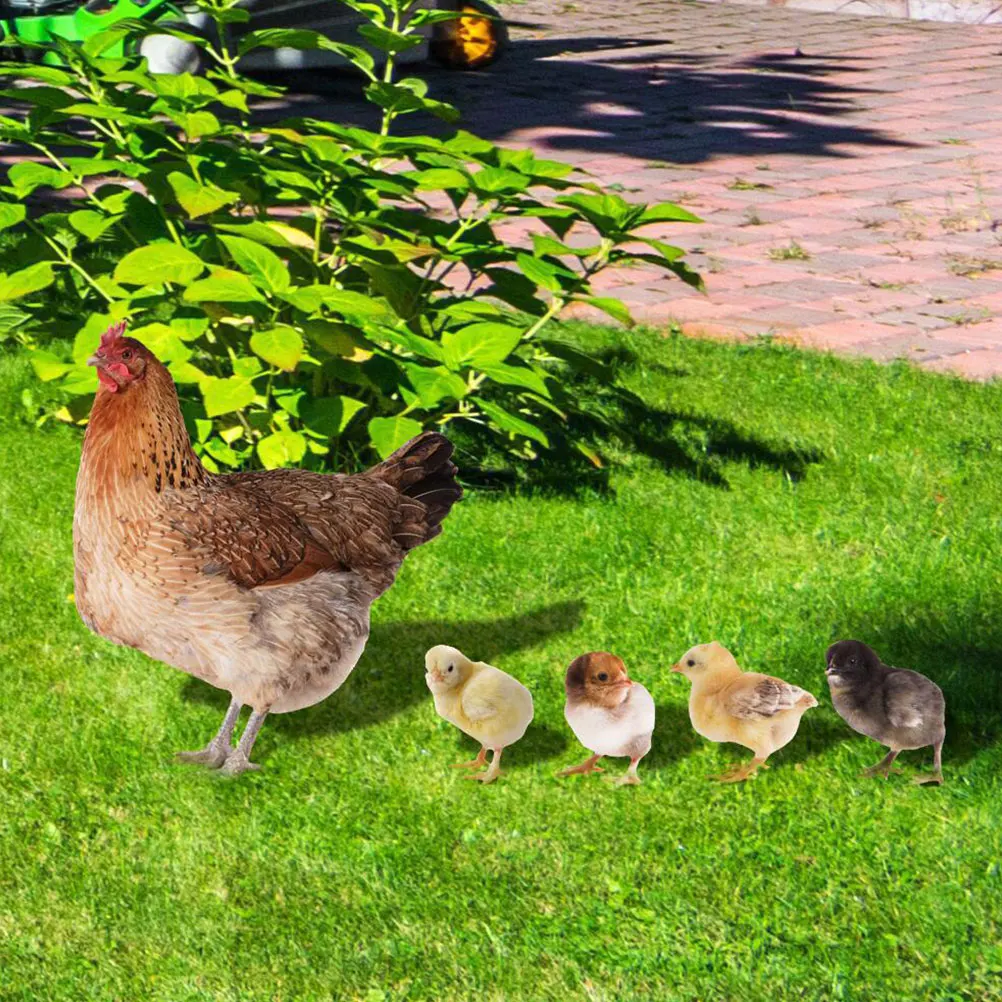 

5pcs Chicken Yards Acrylic Stake Ornament Outdoor Courtyard Decoration Lawn Stakes Animal Yard Inserts Garden Chicken Insert