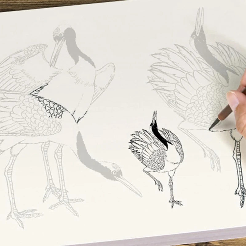 PWS 4Pcs/Set Introduction To Chinese Painting And White Drawing Book For Flower Animal Landscape Introduction To Beginners