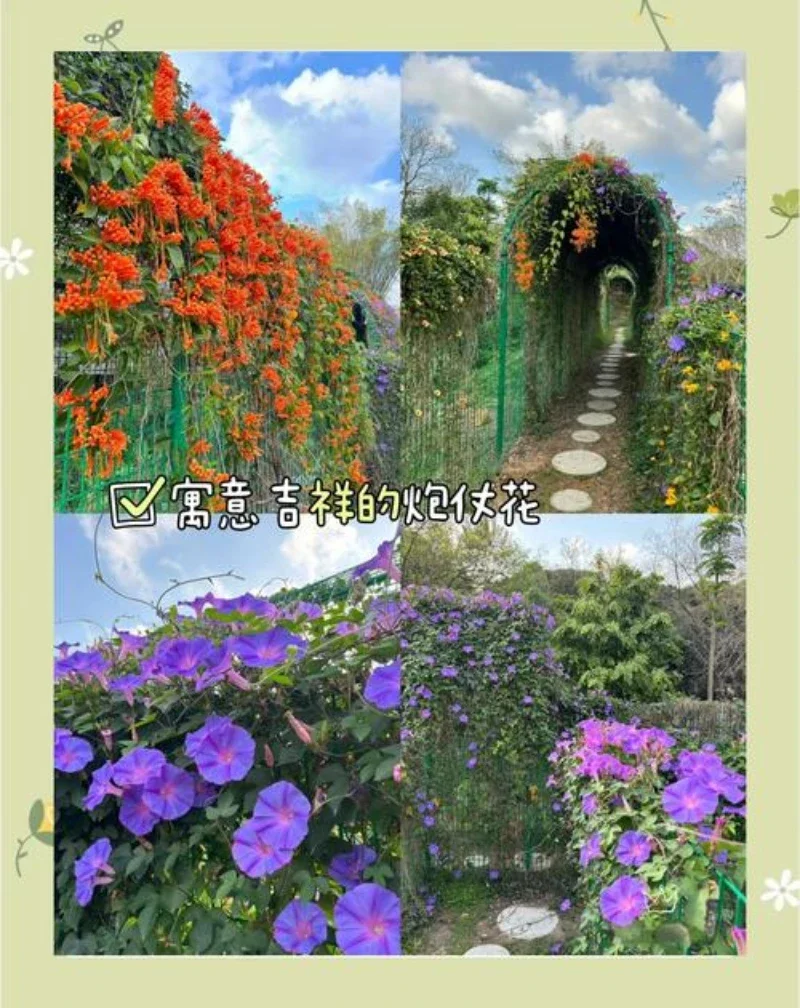 

Paint Pen Supplies Modification Accessories Car Paint Scratch Repair Car Scratch Remover Paint Repair Set For Audi A8