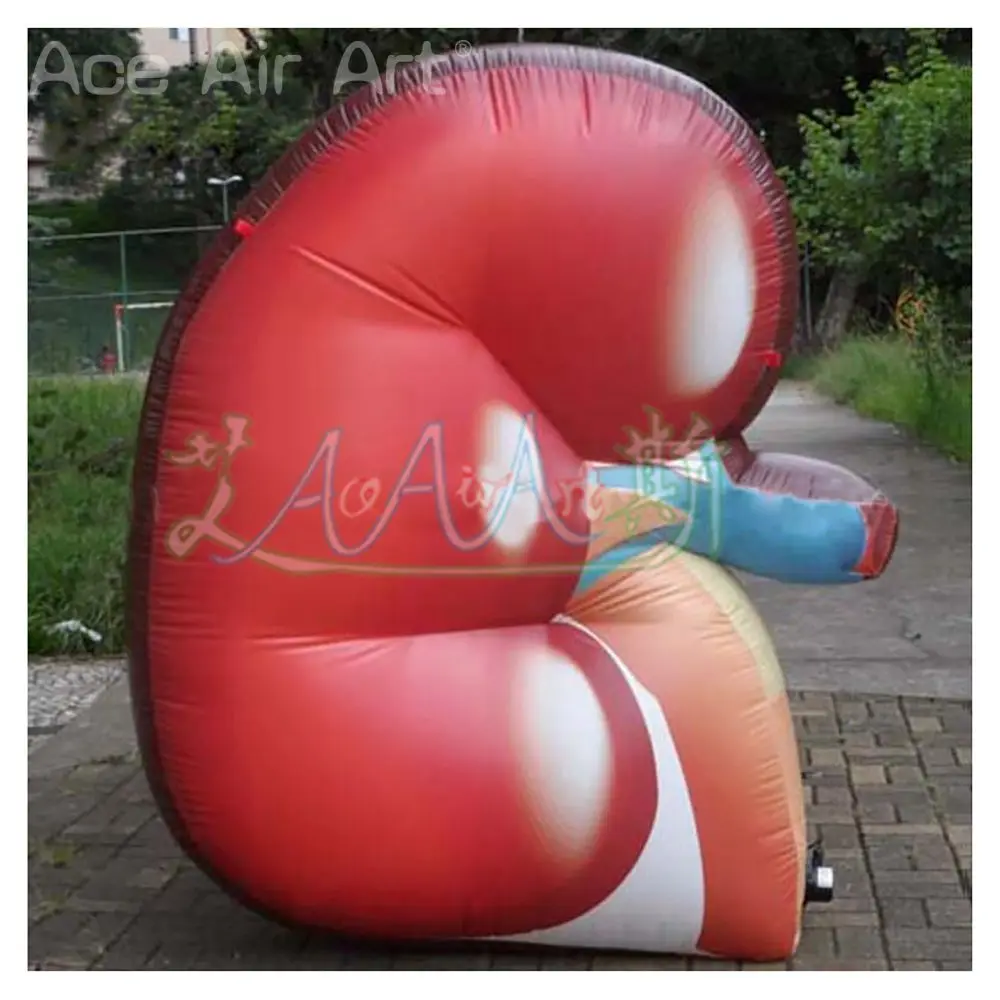 

Giant Outdoor Customized Inflatable Kidney Model Replica for Education Made in China